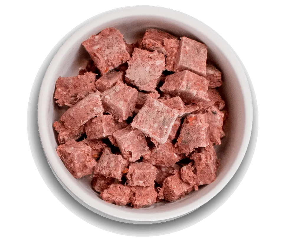 1:1 Recipe Bites