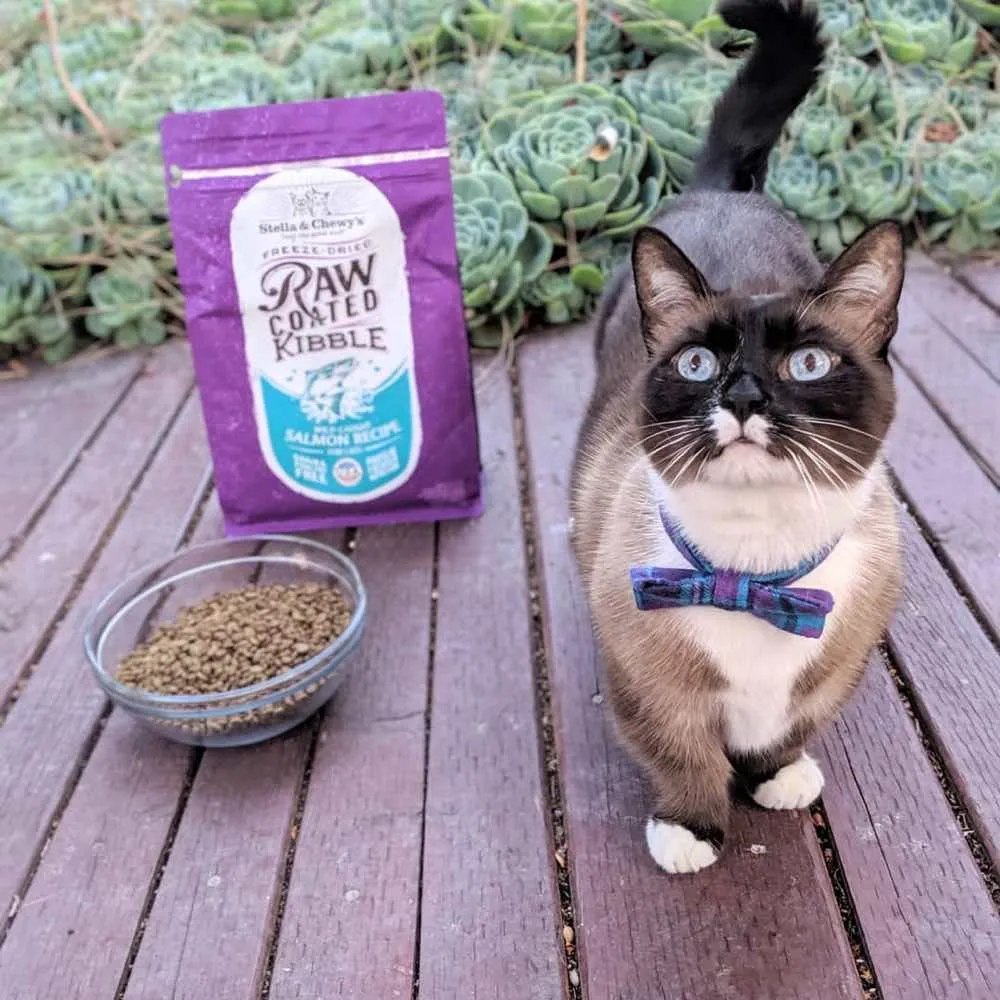 15% OFF: Stella & Chewy’s Freeze-Dried Raw Coated Kibble Salmon Grain-Free Dry Cat Food