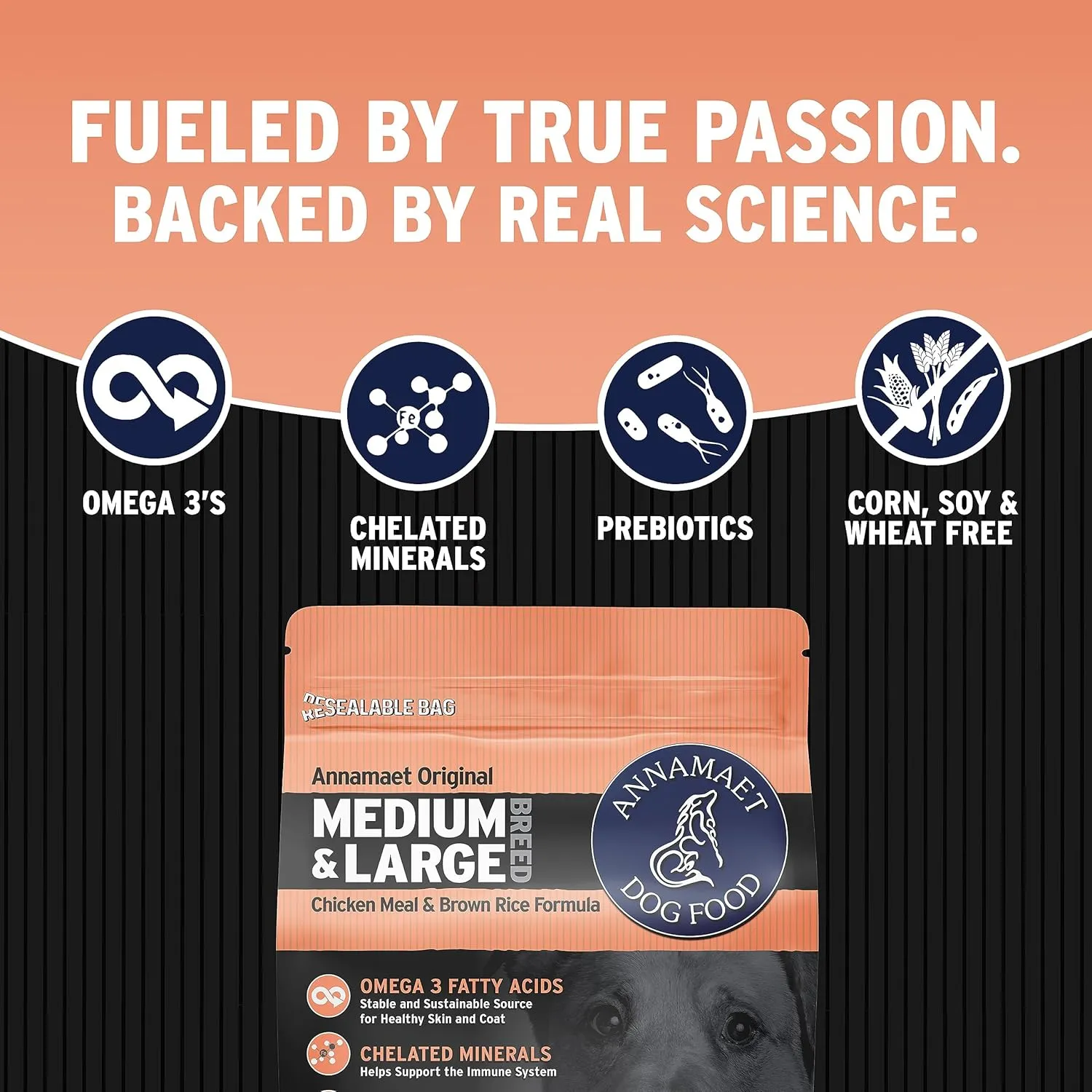 Annamaet Original Medium and Large Breed Formula Dry Dog Food, 25% Protein (Chicken & Brown Rice) - 5 lb. Bag
