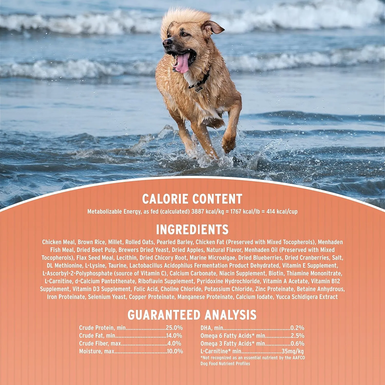 Annamaet Original Medium and Large Breed Formula Dry Dog Food, 25% Protein (Chicken & Brown Rice) - 5 lb. Bag