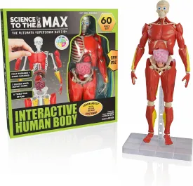 Be Amazing! Toys Interactive Human Body - 60 Piece Fully Poseable Anatomy Figure  14 Tall Model - Anatomy Kit  Removable Muscles, Organs,Bones STEM Toy  Ages 8 