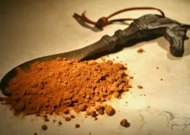 Burdock Root POWDER ORGANIC