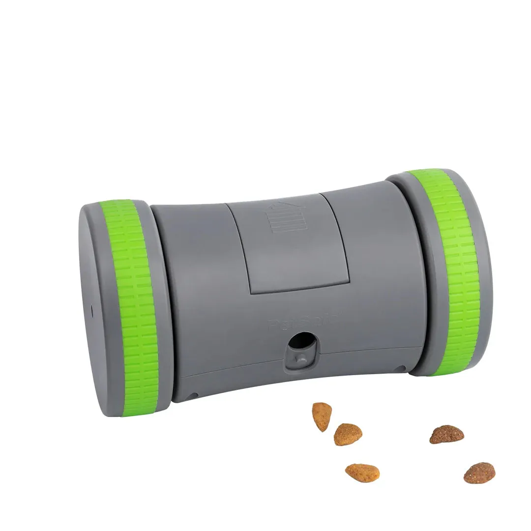 Busy Buddy Kibble Chase