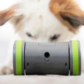 Busy Buddy Kibble Chase