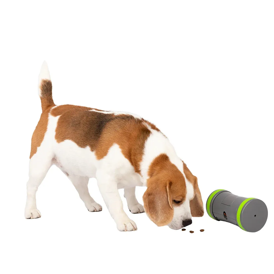 Busy Buddy Kibble Chase