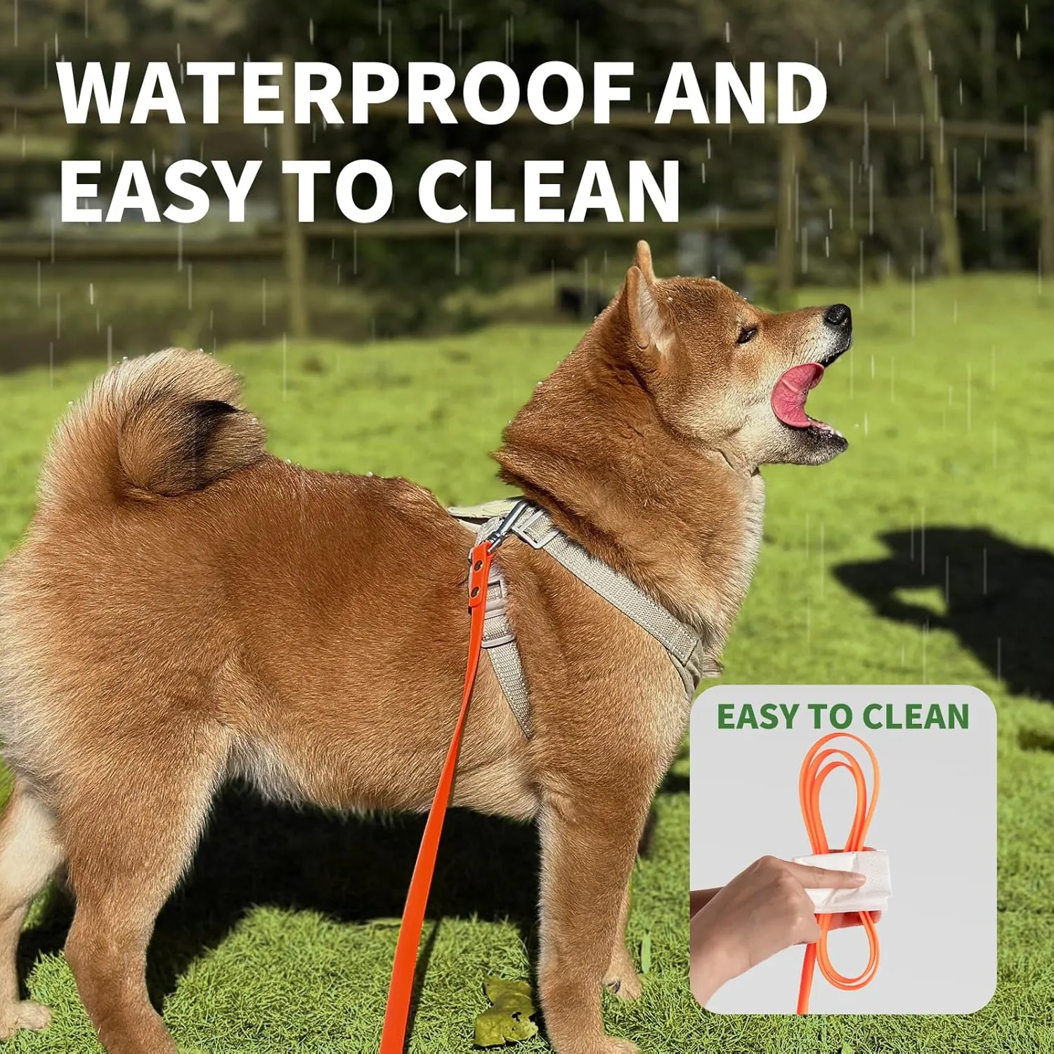 Dog Training Long Leash Waterproof Long Line Heavy Duty Outdoor Recall Lead 10ft 15ft 20ft 30ft 50ft for Small Medium Large Dog (Orange, 30FT)