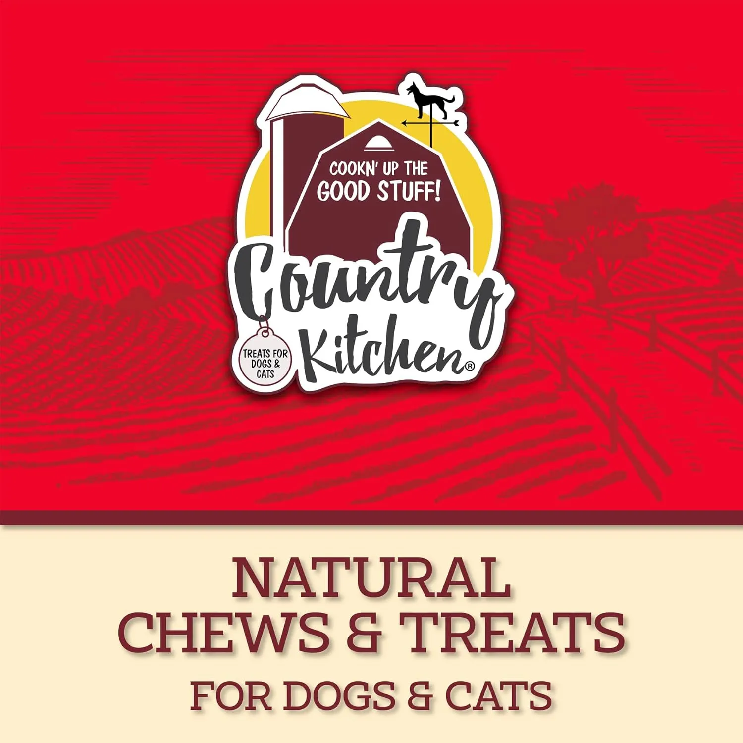 Duck Jerky Tender Dog Treats, Made with Real Duck, High Protein, Low Fat, No Artificial Colors, 16 oz