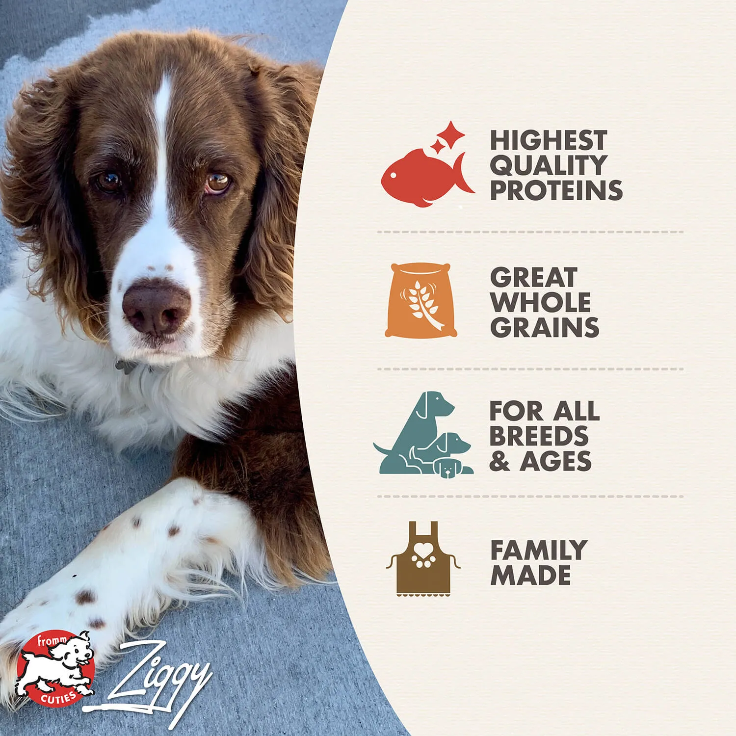 Four-Star Trout & Whitefish Recipe Dry Dog Food - (12lb & 26lb)