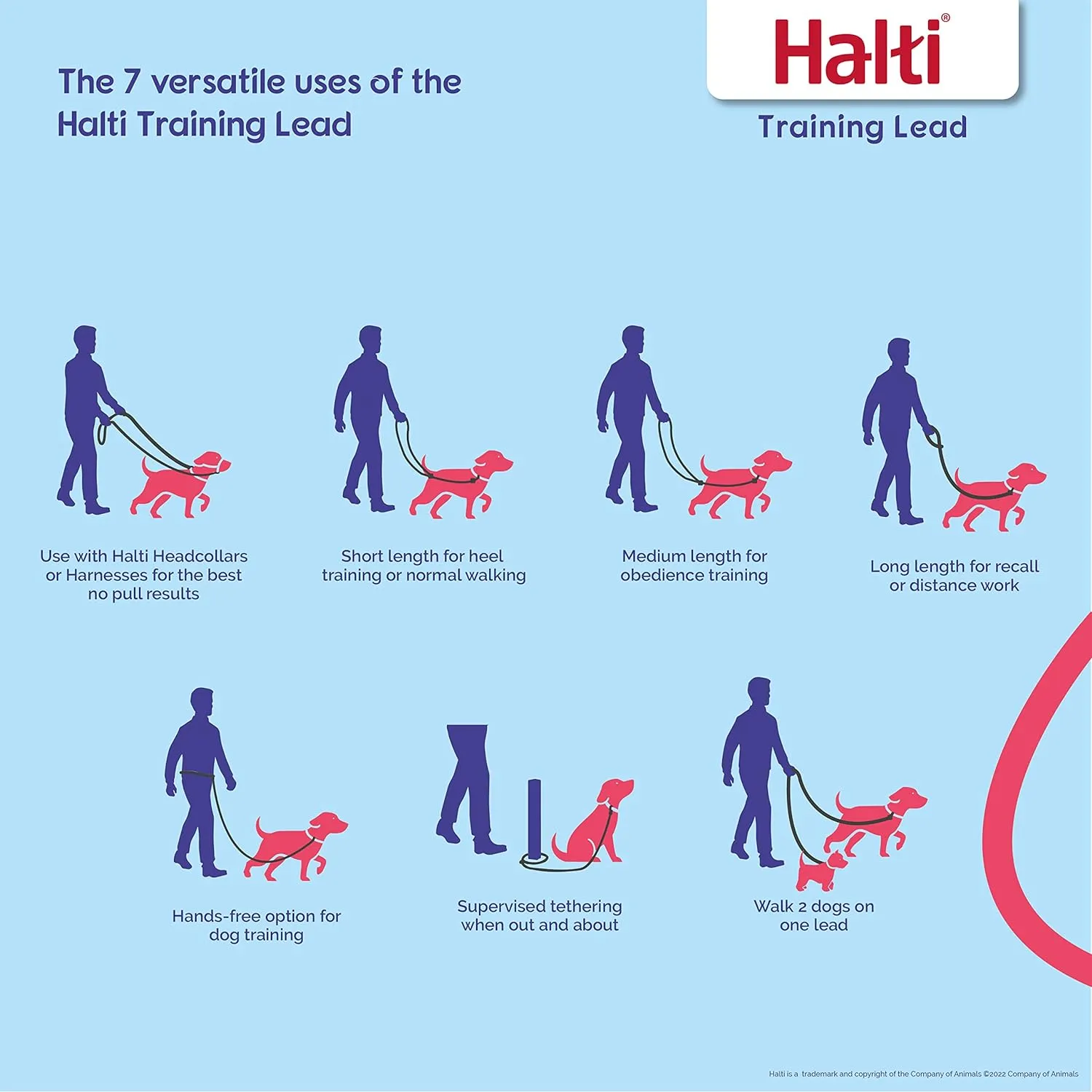 HALTI Training Leash - Multifunctional Double-Ended Dog Leash, Ideal for Anti-Pulling Dog Training. Lightweight & Durable. Suitable for Medium to Large Dogs & Puppies (Size Large, Cobalt Blue, 2m)