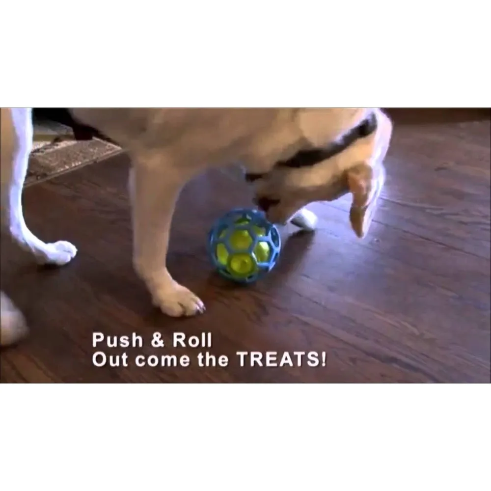 JW Hol-ee Treat Ball interactive Dog Toy 5 inch