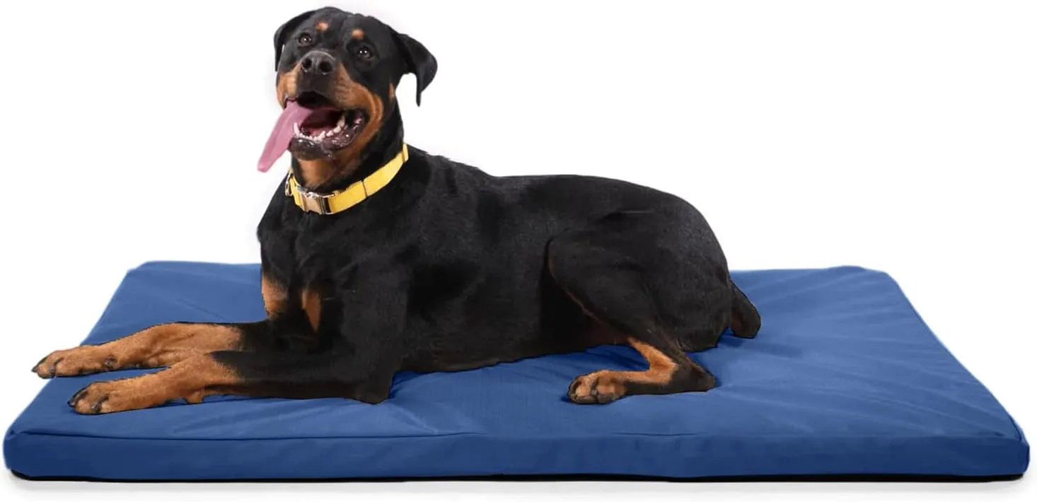 K9 Ballistics Tough Rip-Stop Orthopedic Dog Bed - Durable, Removable, Washable Cover, Kennel Pad Fits in Crate, X-Large 47"x29", Blue Quartz