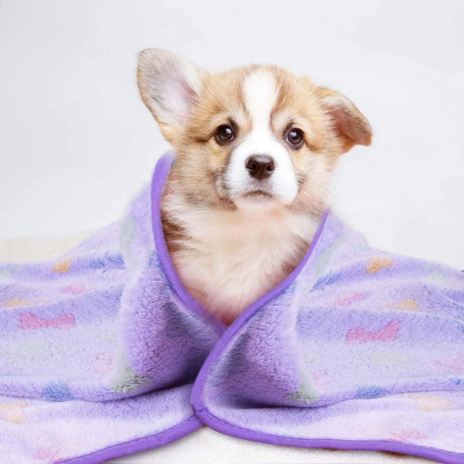 LeapSheep Pet Blankets for Dogs Cats - 3Pack Bone Pattern Super Soft Fluffy Dog Blankets for Small Medium Large Doggy Kitten (Bone, Large)