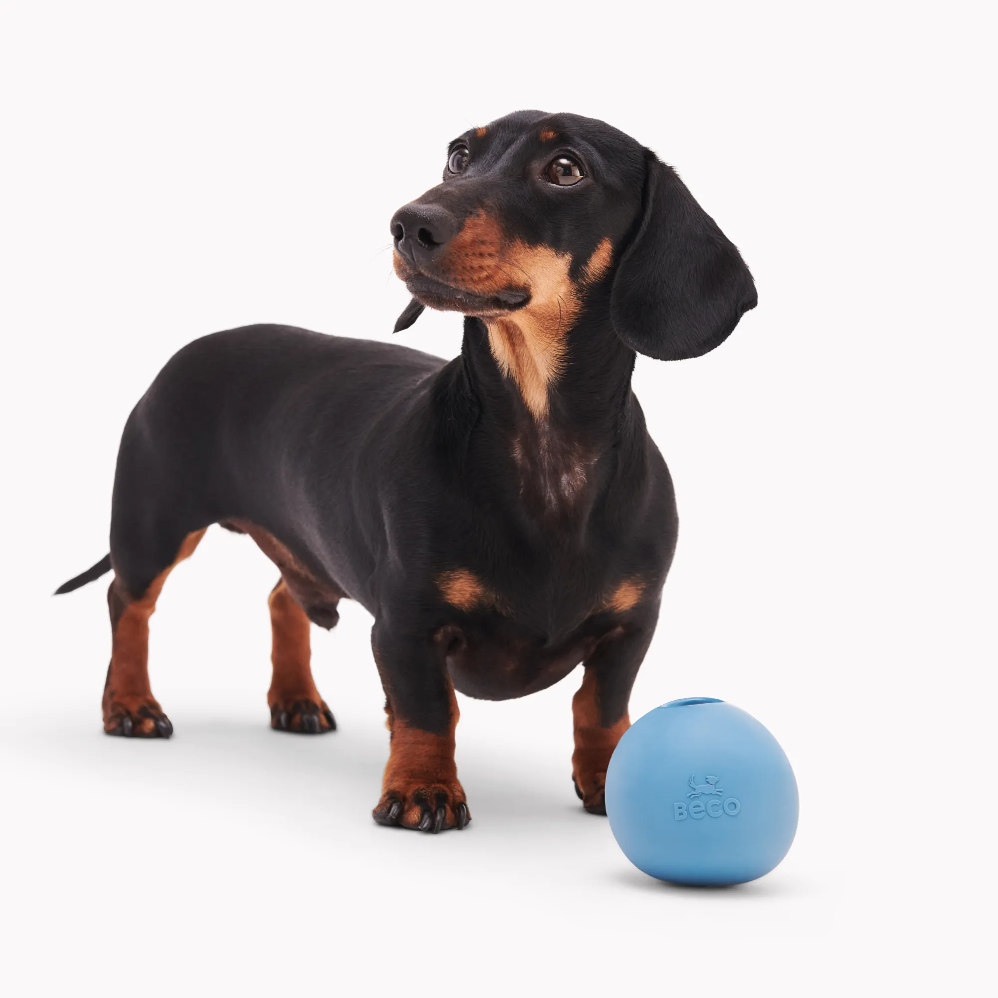 Natural Rubber Wobble Ball