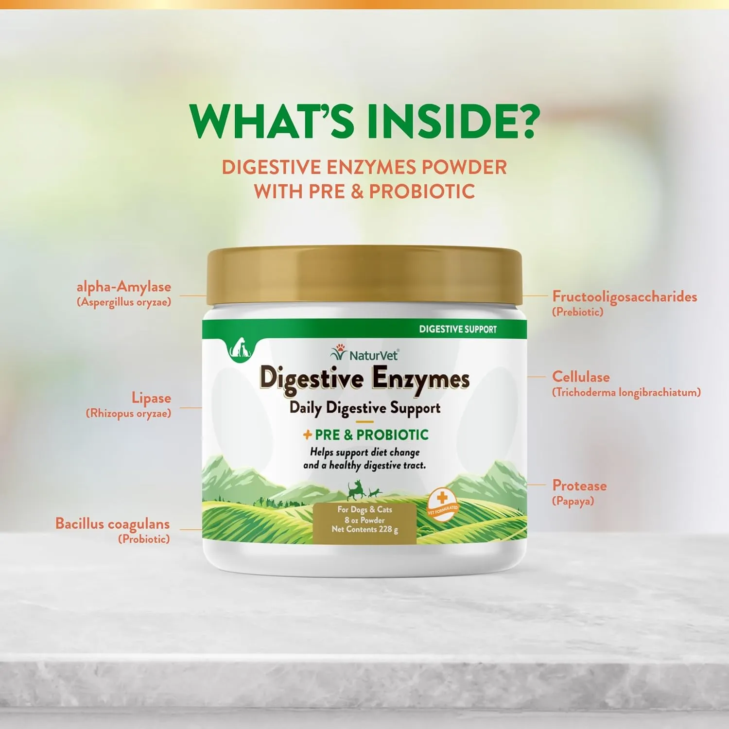 NaturVet  Digestive Enzymes for Dogs - Plus Probiotics & Prebiotics | Helps Support Diet Change & A Healthy Digestive Tract | for Dogs & Cats | 8 oz Powder