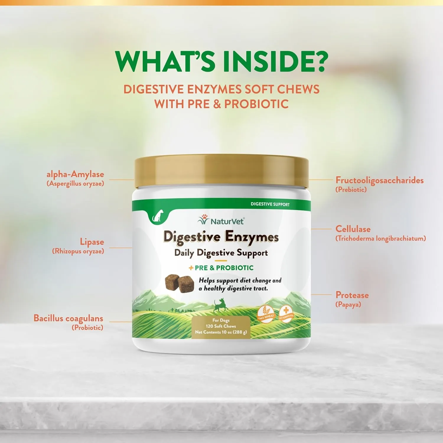 NaturVet  Digestive Enzymes - Plus Probiotics & Prebiotics  Helps Support Diet Change & A Healthy Digestive Tract  for Dogs & Cats (Soft Chews, 120 Count)