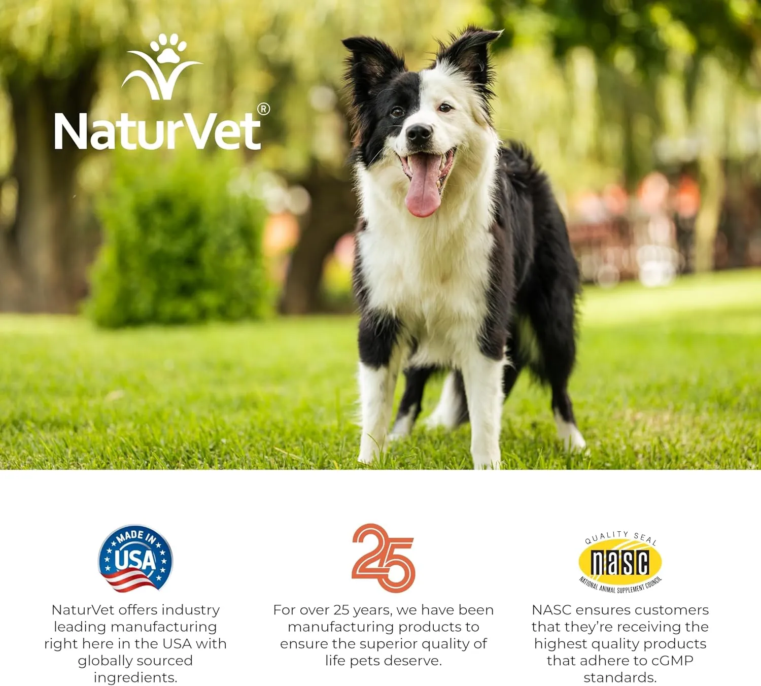 NaturVet  Digestive Enzymes - Plus Probiotics & Prebiotics  Helps Support Diet Change & A Healthy Digestive Tract  for Dogs & Cats (Soft Chews, 120 Count)