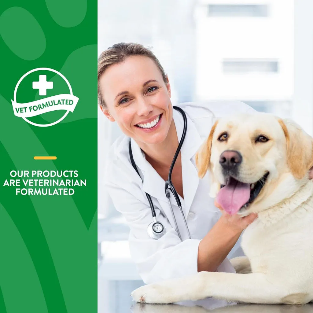 NaturVet Digestive Enzymes Soft Chews Daily Digestive Support Plus Pre & Probiotic for Dogs, 120 count