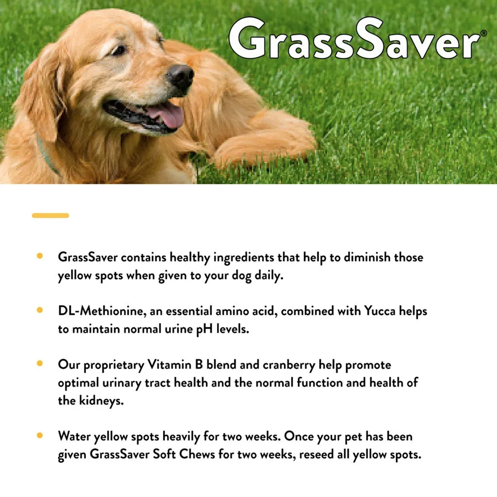 NaturVet GrassSaver Plus Enzymes Soft Chews for Dogs, 120 count