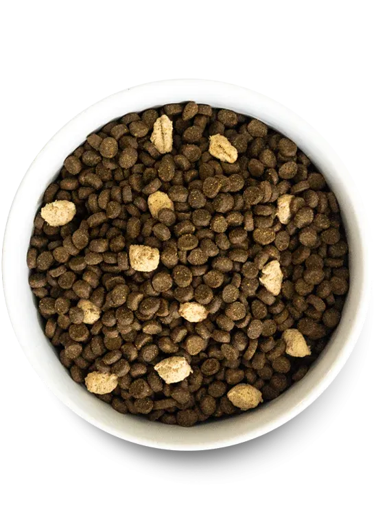 Open Farm Grain Free - Cat Food - RawMix - Wild Ocean - (Salmon, Whitefish & Rockfish)