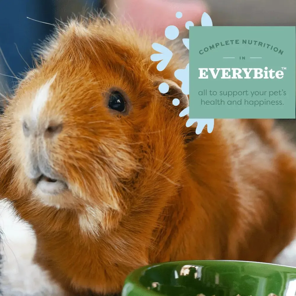OXBOW Essentials Senior Guinea Pig Food