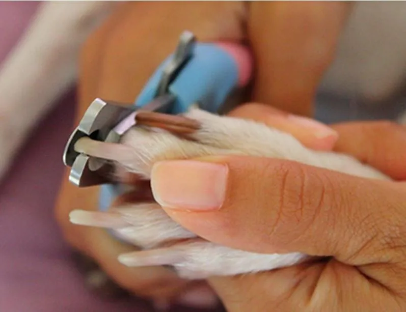 Pet Manicure Tool Set
