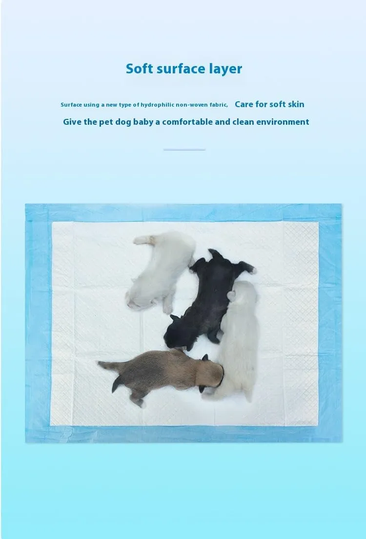 Pet Training Pads, Multiple, Disposable Absorbent Pee Pads for Dogs and Cats, 20-100 Count (L)