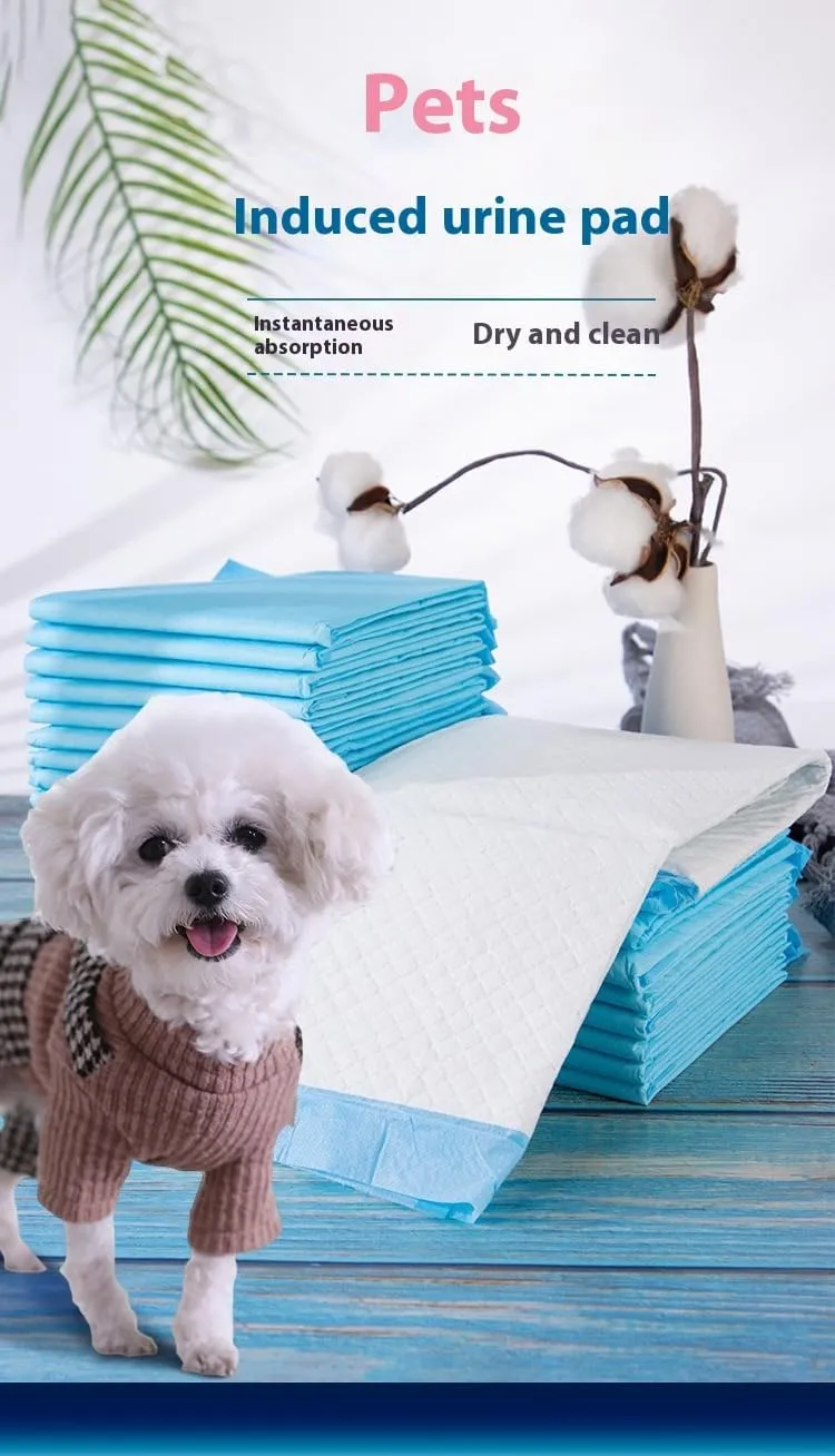 Pet Training Pads, Multiple, Disposable Absorbent Pee Pads for Dogs and Cats, 20-100 Count (L)