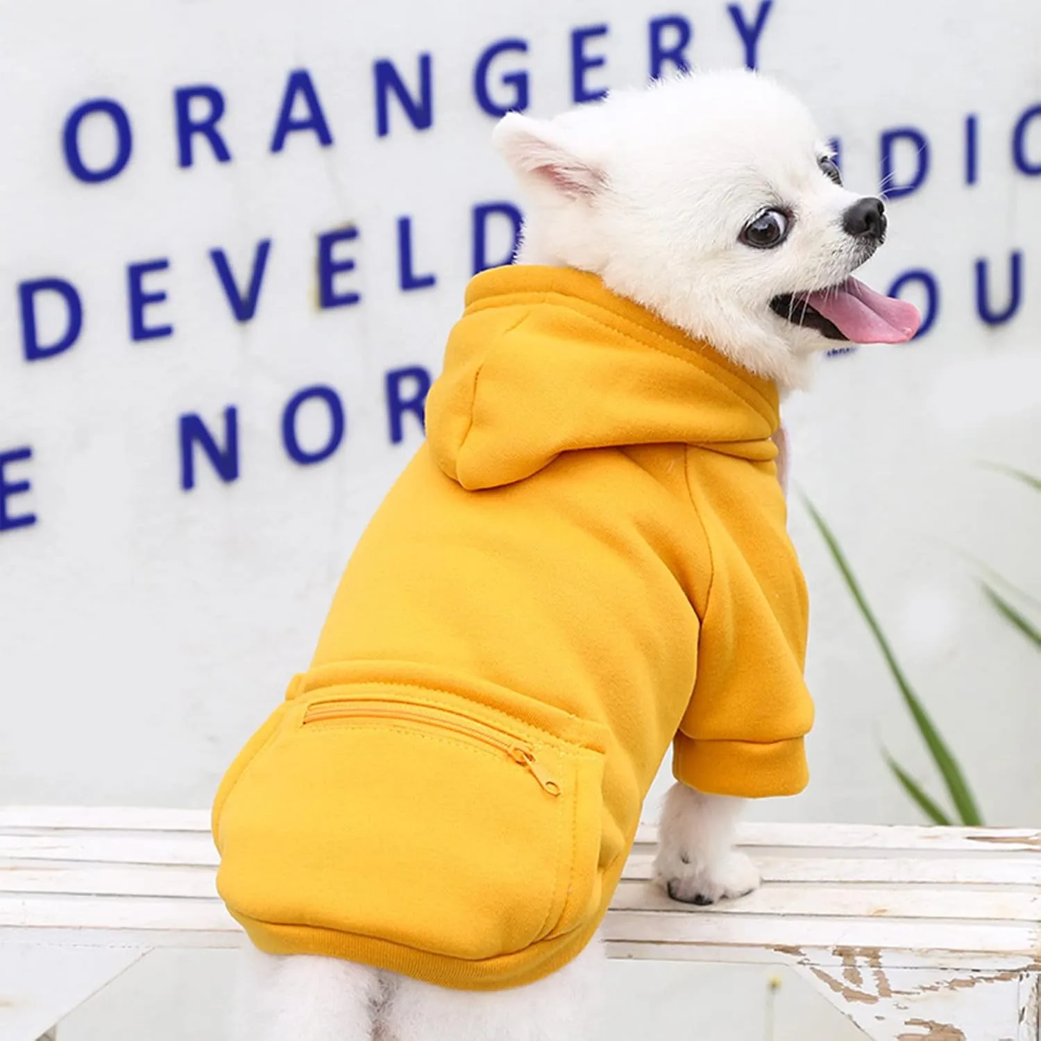PETCARE Dog Hoodie - Yellow Winter Warm Fleece Hooded Sweatshirt with Pocket - Small Dog Clothes - Chihuahua, Yorkies, French Bulldog Outfits - Cold Weather Coats