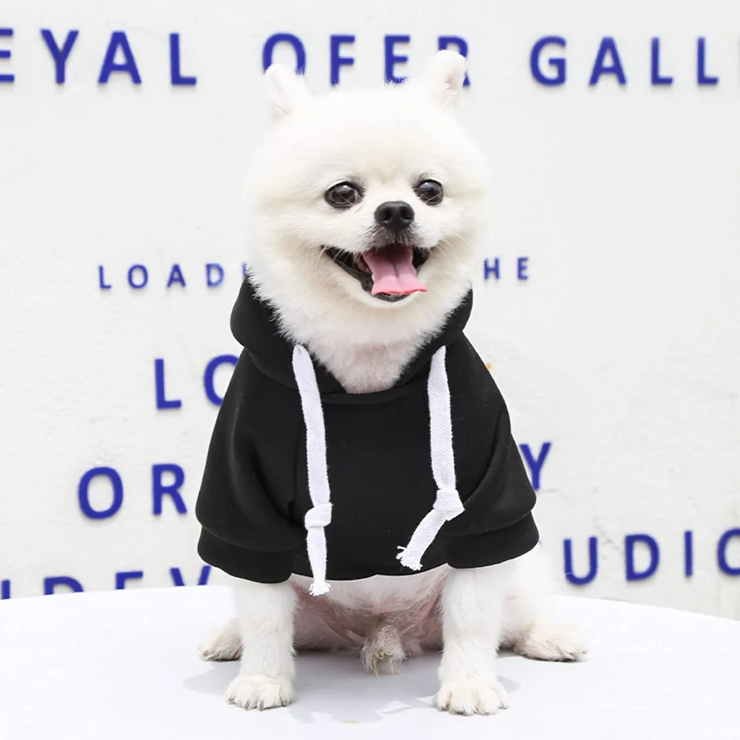 PETCARE Small Dog Hoodie Cat Sweater Black Warm Soft Fleece Sweatshirts with Pocket Fall Winter Puppy Sweaters Cat Clothes for Cats Only Chihuahua Yorkies French Bulldog Outfits Pet Hooded Costume