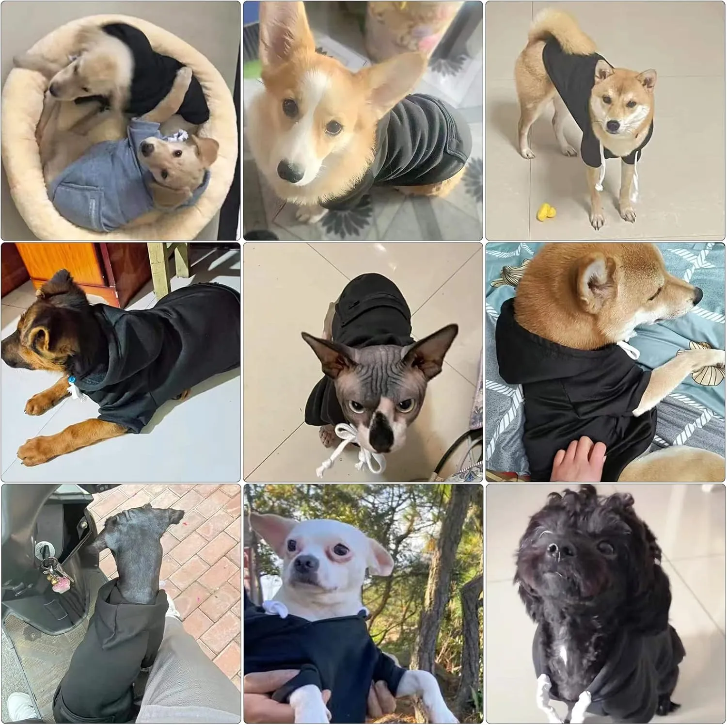 PETCARE Small Dog Hoodie Cat Sweater Black Warm Soft Fleece Sweatshirts with Pocket Fall Winter Puppy Sweaters Cat Clothes for Cats Only Chihuahua Yorkies French Bulldog Outfits Pet Hooded Costume