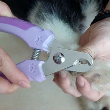 Professional Pet Nail Clipper with 1 Nail File