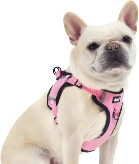 PUPTECK No Pull Dog Harness Small Medium Sized Dog, Adjustable Reflective Escape Proof Easy Control, Comfortable Soft Padded Step in Pet Vest Harness, Pink, M