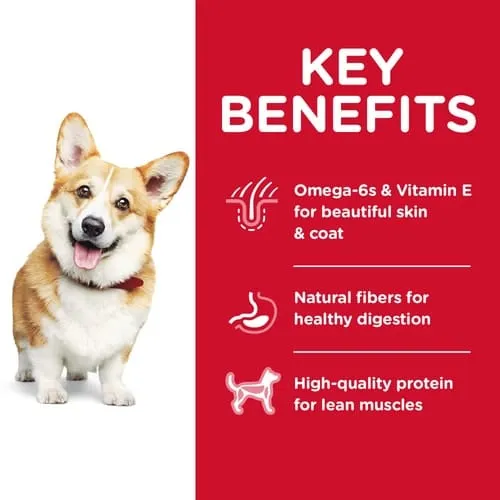 Science Diet Adult Small Bites Chicken Recipe Dry Dog Food