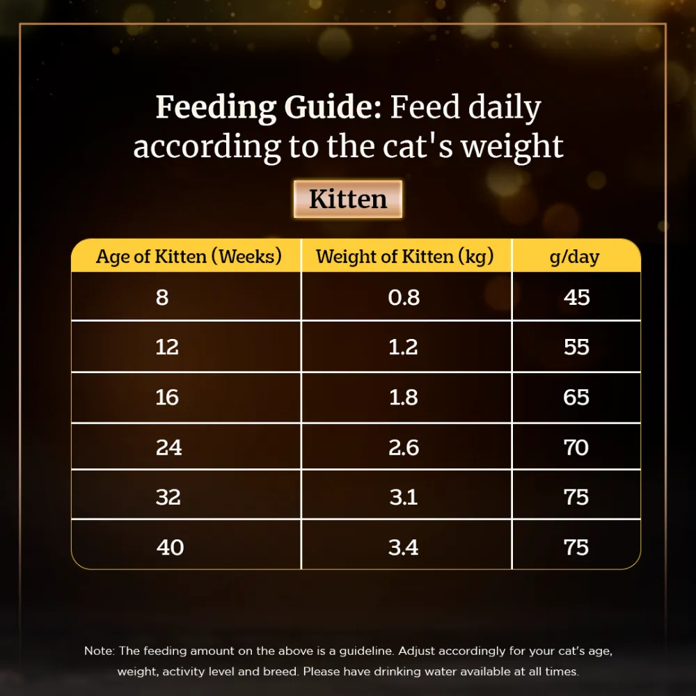 Sheba Salmon Flavour and Chicken Flavour Irresistible All Life Stage Cat Dry Food Combo (Limited Shelf Life)