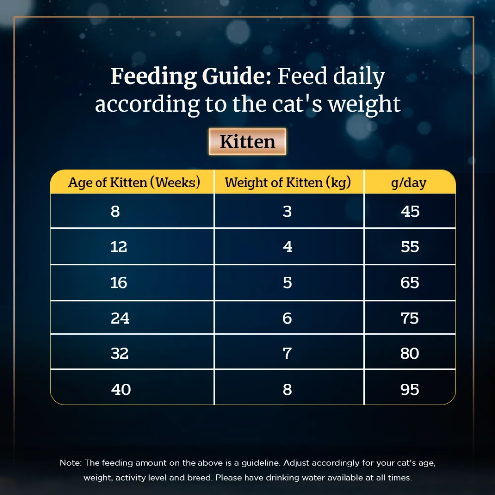 Sheba Salmon Flavour and Chicken Flavour Irresistible All Life Stage Cat Dry Food Combo (Limited Shelf Life)