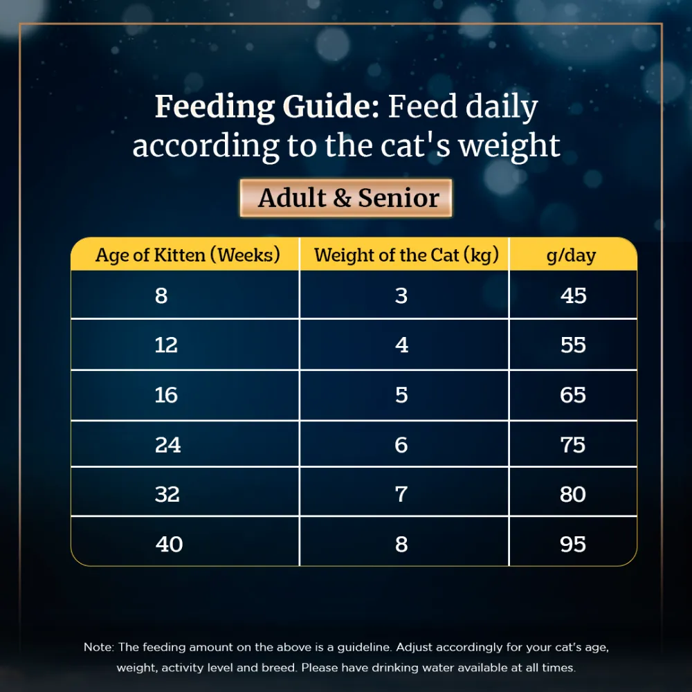 Sheba Salmon Flavour and Chicken Flavour Irresistible All Life Stage Cat Dry Food Combo (Limited Shelf Life)
