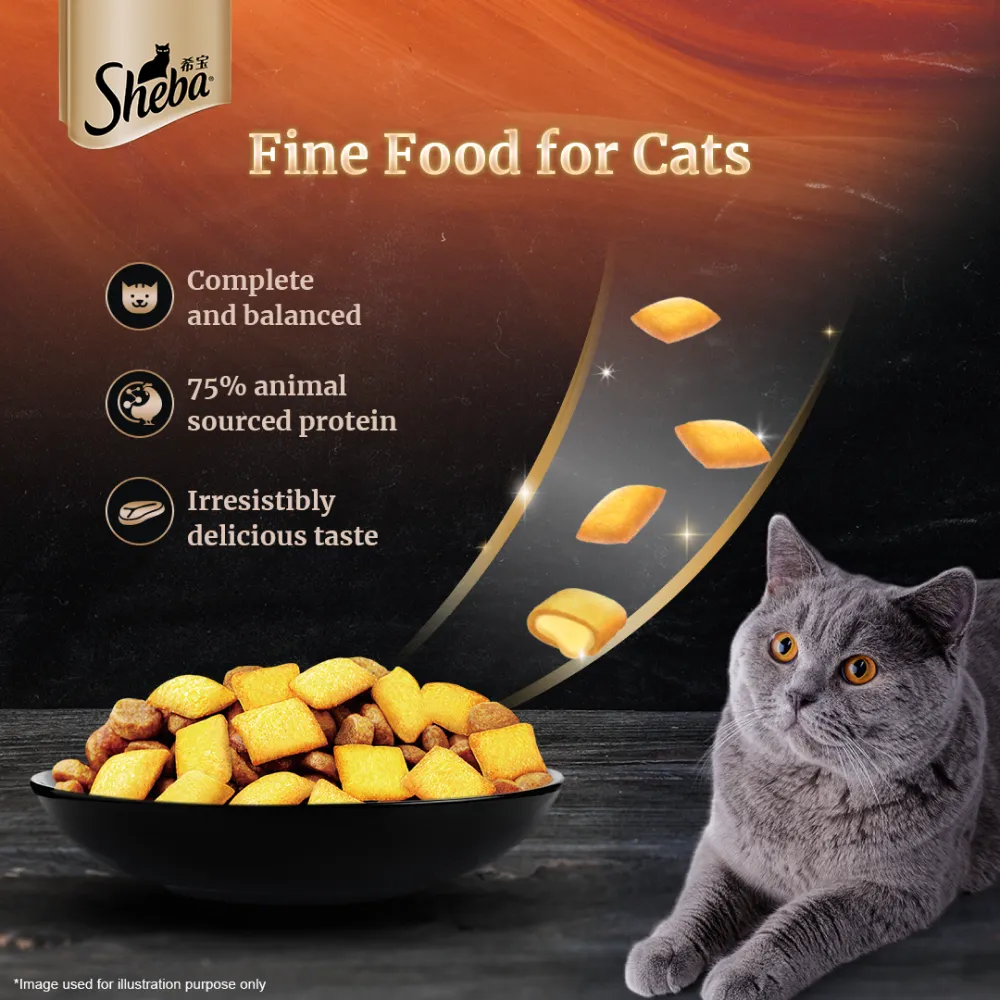 Sheba Salmon Flavour and Chicken Flavour Irresistible All Life Stage Cat Dry Food Combo (Limited Shelf Life)