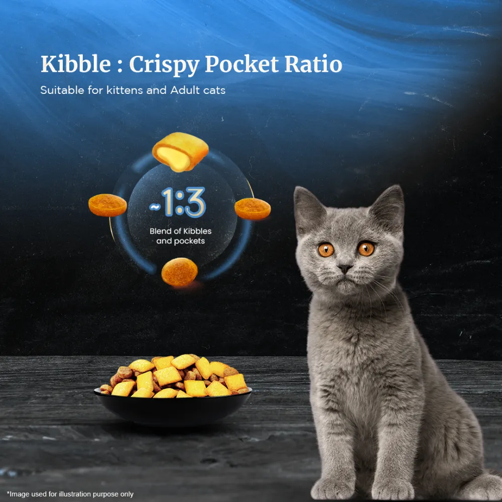 Sheba Salmon Flavour and Chicken Flavour Irresistible All Life Stage Cat Dry Food Combo (Limited Shelf Life)