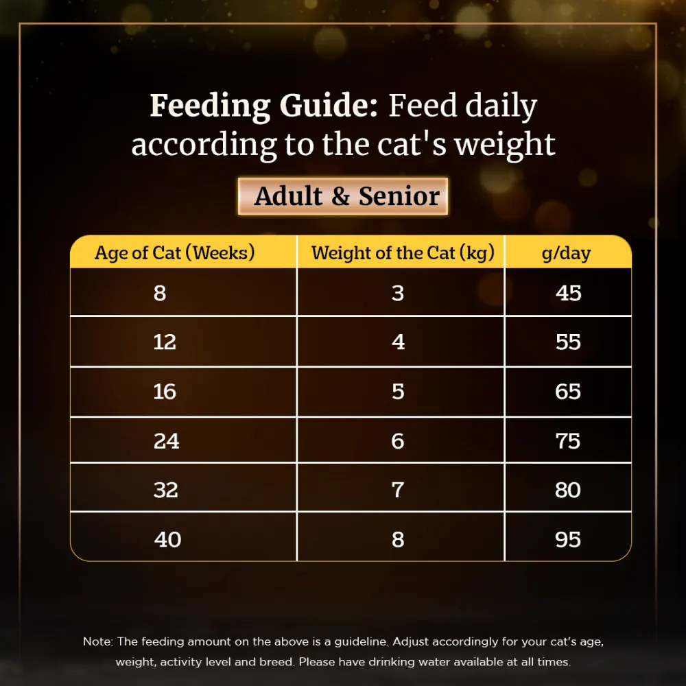 Sheba Salmon Flavour and Chicken Flavour Irresistible All Life Stage Cat Dry Food Combo (Limited Shelf Life)