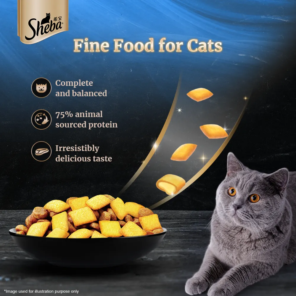 Sheba Salmon Flavour and Chicken Flavour Irresistible All Life Stage Cat Dry Food Combo (Limited Shelf Life)