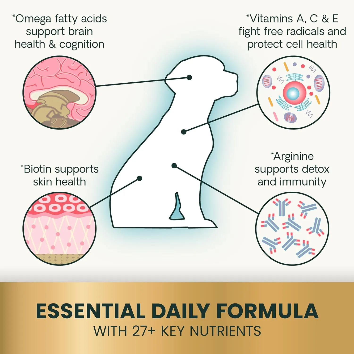 VetriScience 27  Active Health Chewable Tablets, Canine Plus Daily Multivitamin for Puppies and Adult Dogs, Balanced Vitamins, Minerals and Antioxidants, Health and Wellness Support, Duck, 90 Count