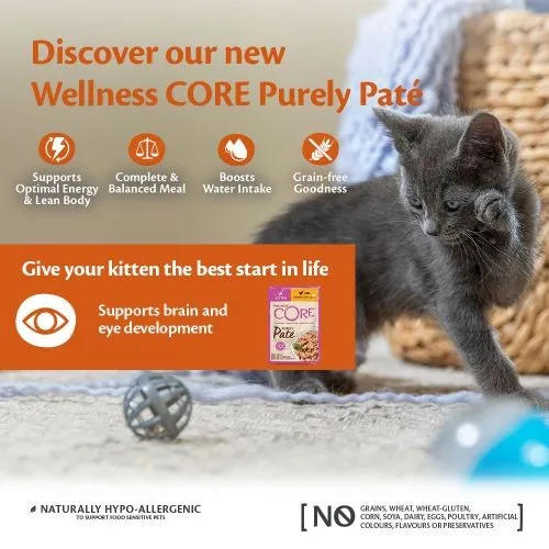 Wellness Core Purely Pate Chicken Wet Kitten Food - 8 x 85g