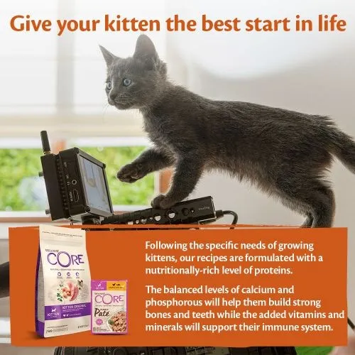Wellness Core Purely Pate Chicken Wet Kitten Food - 8 x 85g