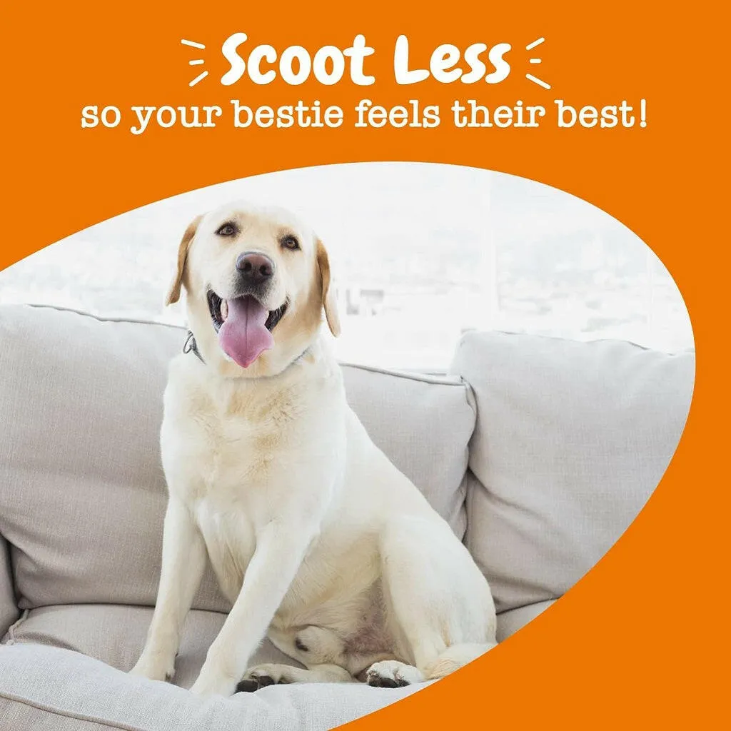 Zesty Paws Scoot Away Bites Chicken Flavored Digestive Chews for Dogs (90 ct)